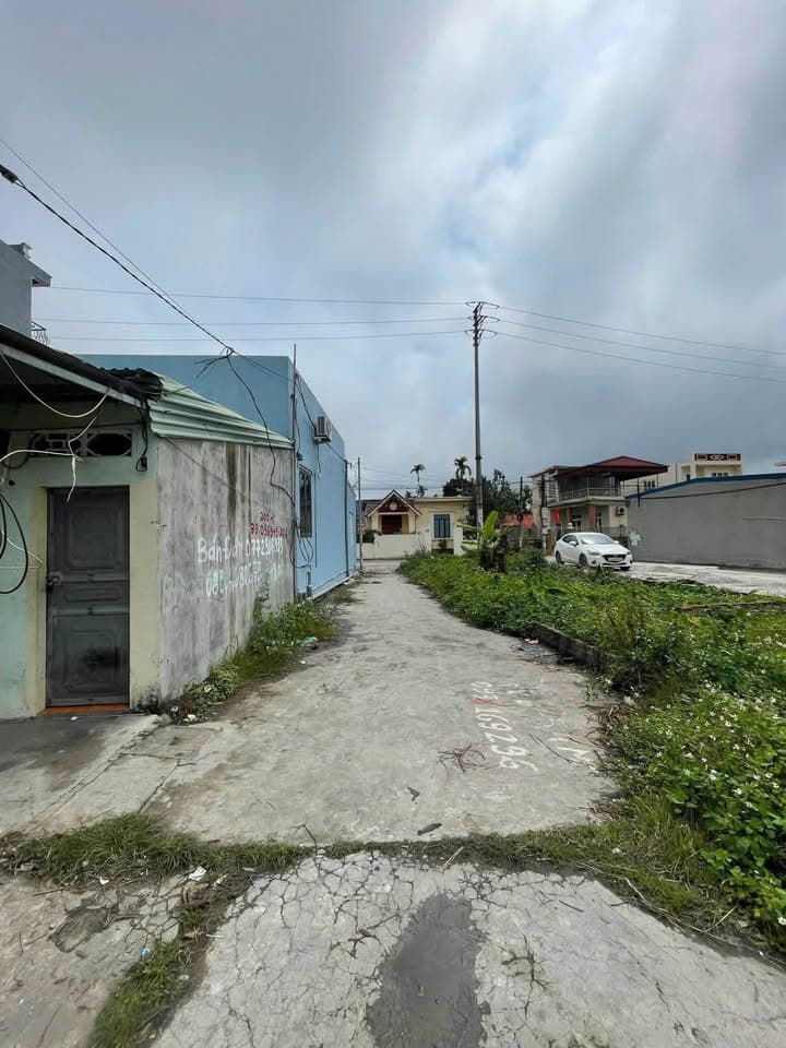 Bán đất H. Kiến Thụy, Tp. Hải Phòng - Ảnh 3