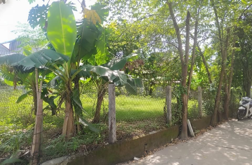 Bán đất Đ. Nguyễn Hoàng, P. Kim Long, Tp. Huế, T. Thừa Thiên Huế - Ảnh 2