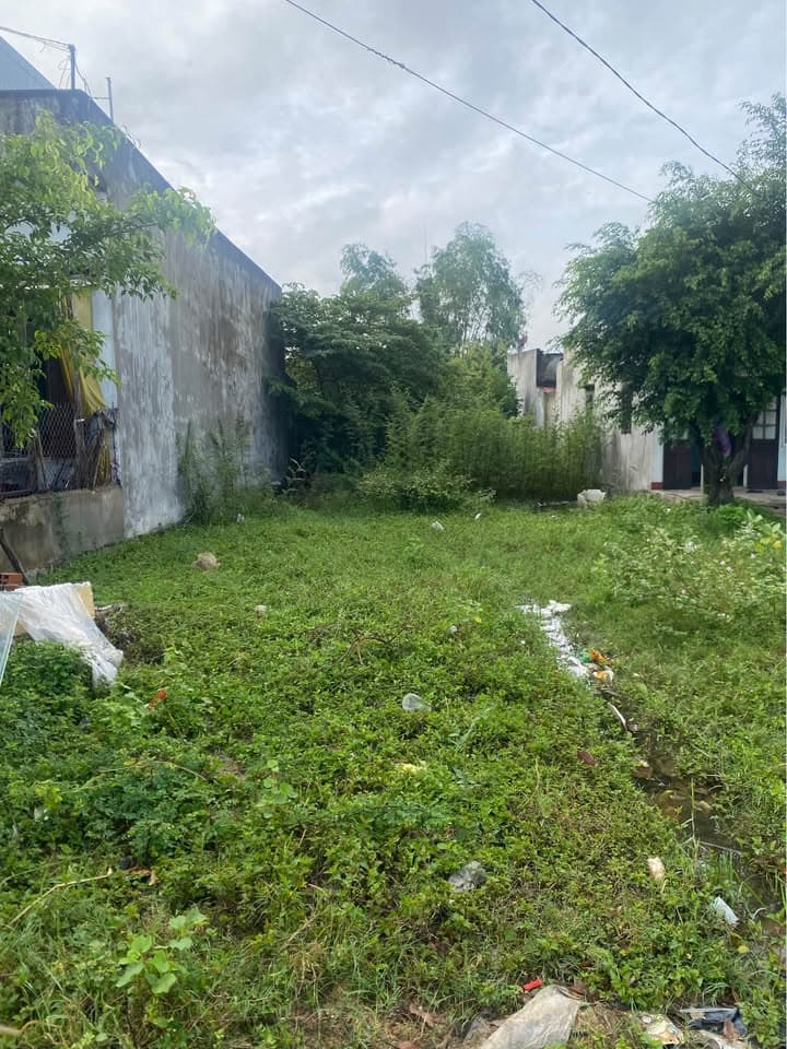 Bán đất X. Phước Thuận, H. Tuy Phước, T. Bình Định - Ảnh 2