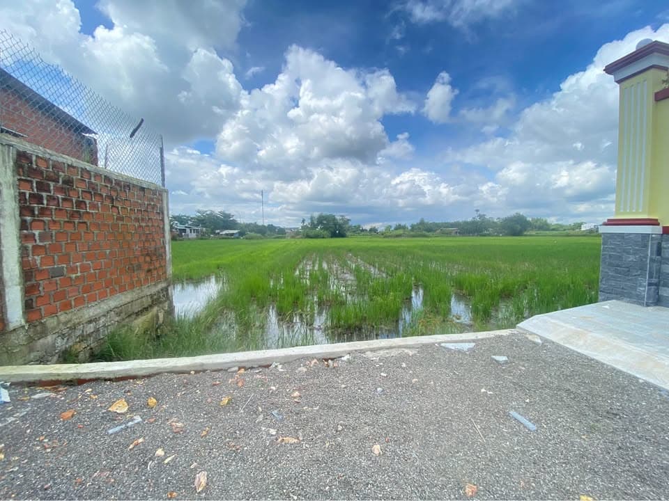 Bán đất H. Tuy Phước, T. Bình Định - Ảnh 2