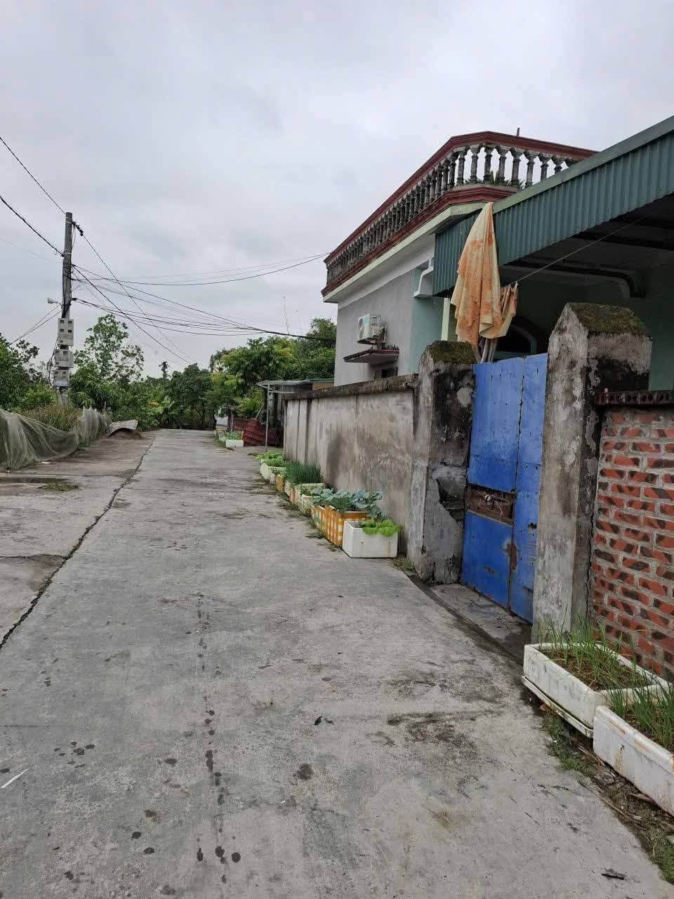 Bán đất X. Kim Đính, H. Kim Thành, T. Hải Dương - Ảnh 2