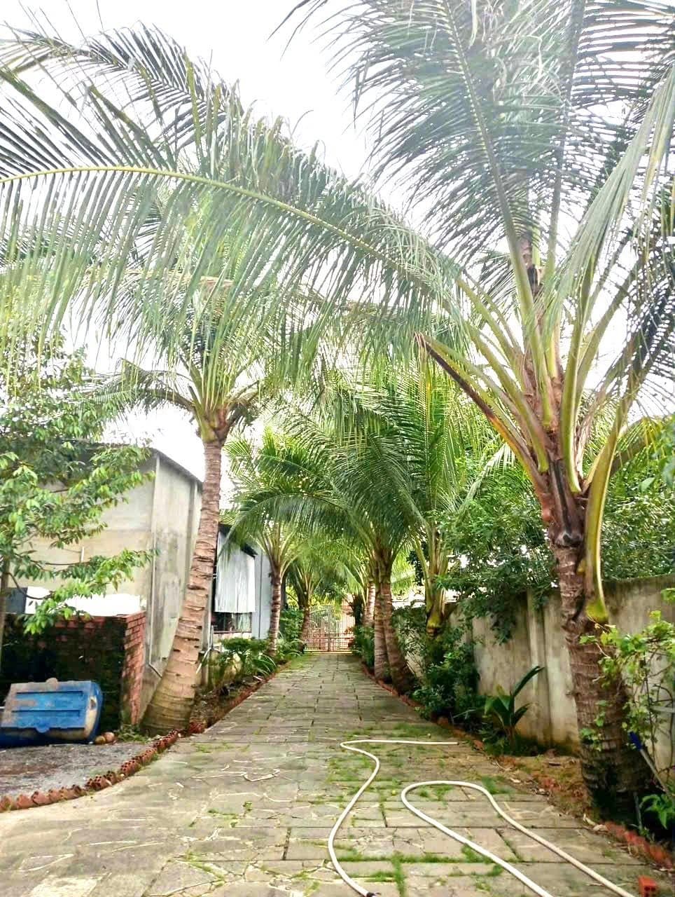 Bán nhà riêng X. Hưng Thịnh, H. Trảng Bom, T. Đồng Nai