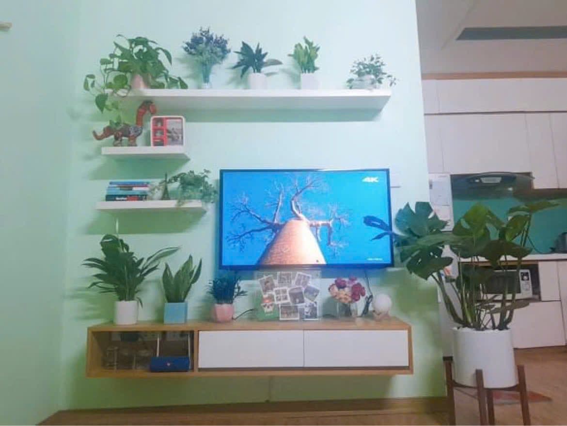 Bán căn hộ chung cư Q. Hoàng Mai, Tp. Hà Nội - Ảnh 3