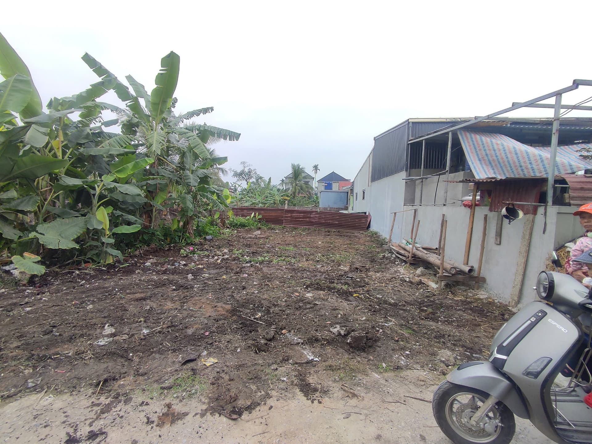 Bán đất H. An Lão, Tp. Hải Phòng - Ảnh 2