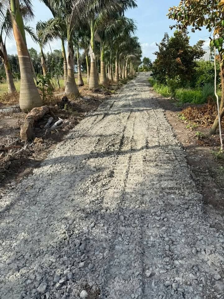 Bán đất Tt. Thủ Thừa, H. Thủ Thừa, T. Long An