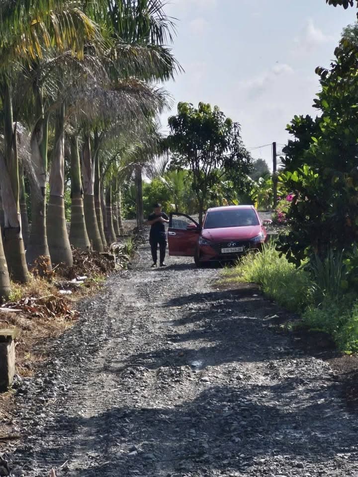 Bán đất Tt. Thủ Thừa, H. Thủ Thừa, T. Long An - Ảnh 2