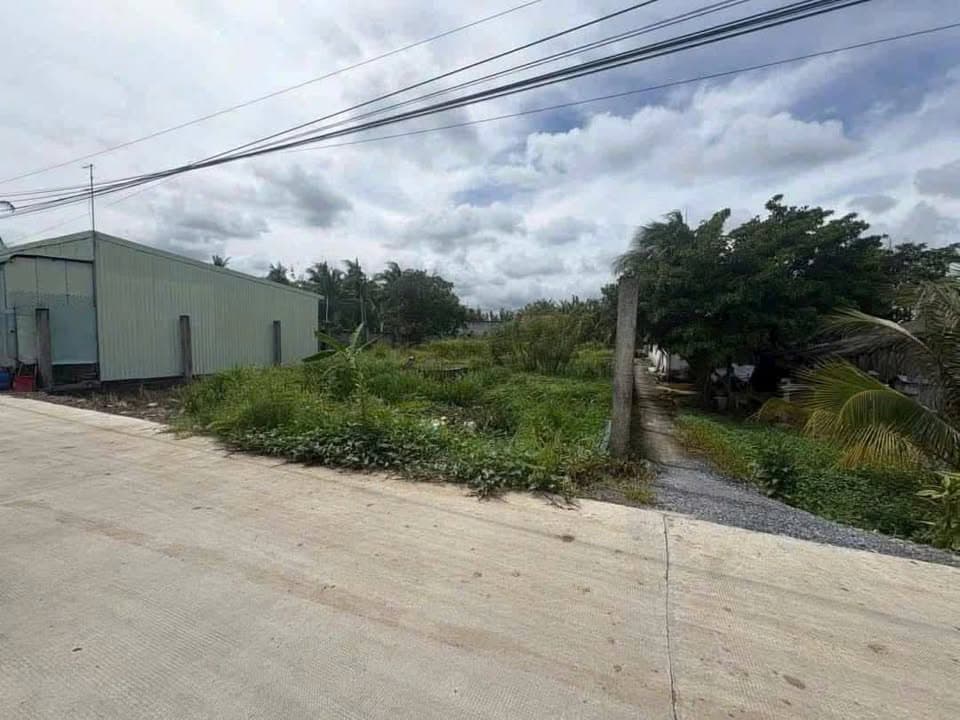 Bán đất H. Thủ Thừa, T. Long An - Ảnh 2