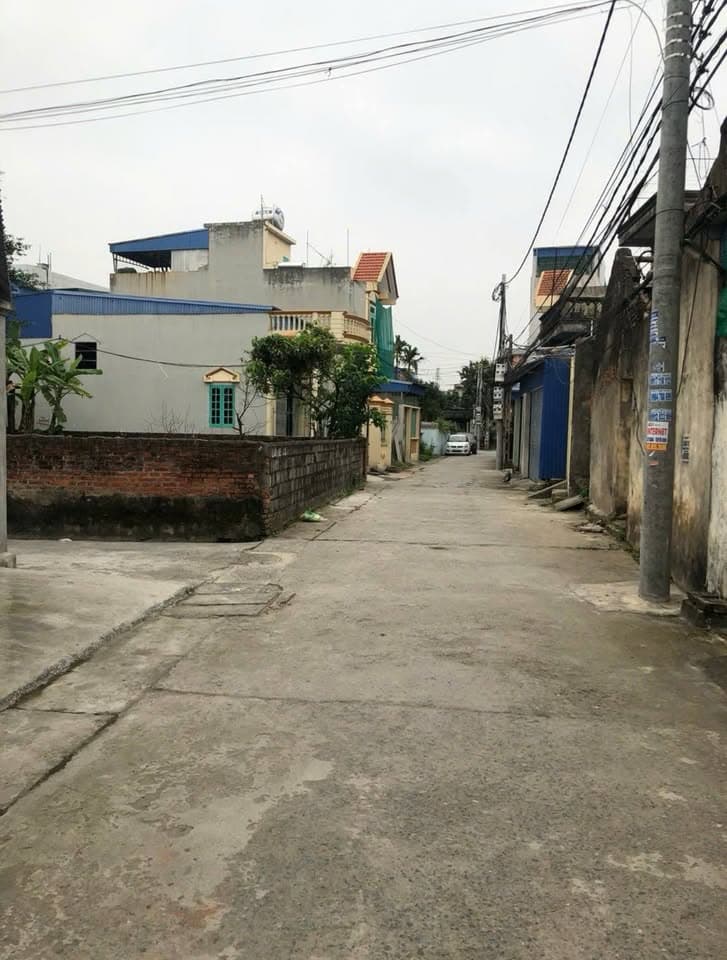 Bán đất Đ. Phù Nghĩa, P. Lộc Vượng, Tp. Nam Định, T. Nam Định - Ảnh 2