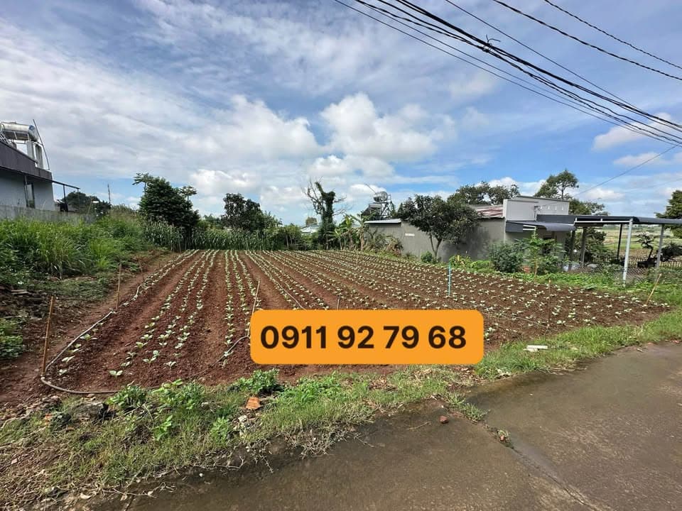 Bán đất H. Đức Trọng, T. Lâm Đồng