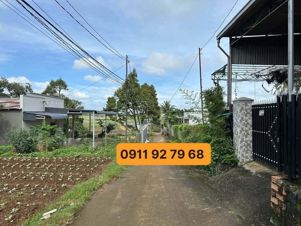 Bán đất H. Đức Trọng, T. Lâm Đồng - Ảnh 3