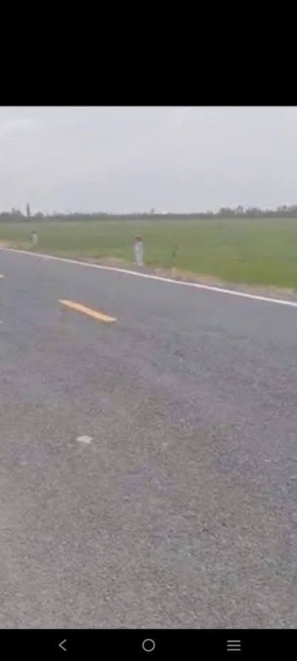 Bán đất X. Phương Thịnh, H. Cao Lãnh, T. Đồng Tháp - Ảnh 2