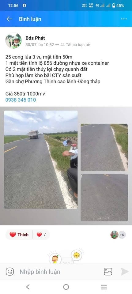 Bán đất X. Phương Thịnh, H. Cao Lãnh, T. Đồng Tháp - Ảnh 3