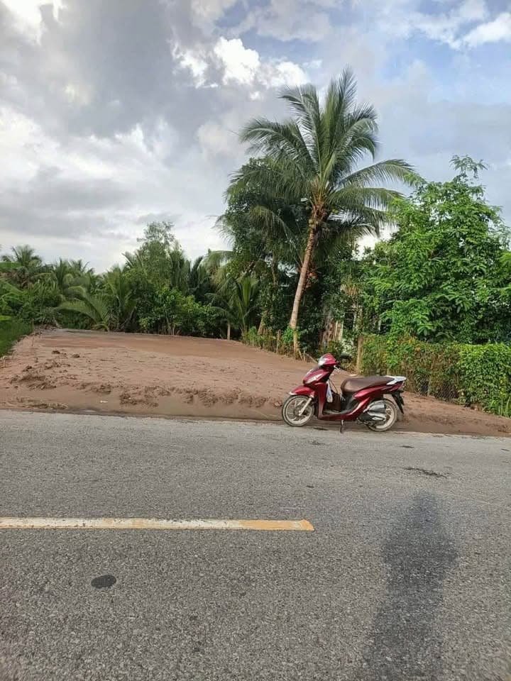 Bán đất X. Thuận Điền, H. Giồng Trôm, T. Bến Tre - Ảnh 3