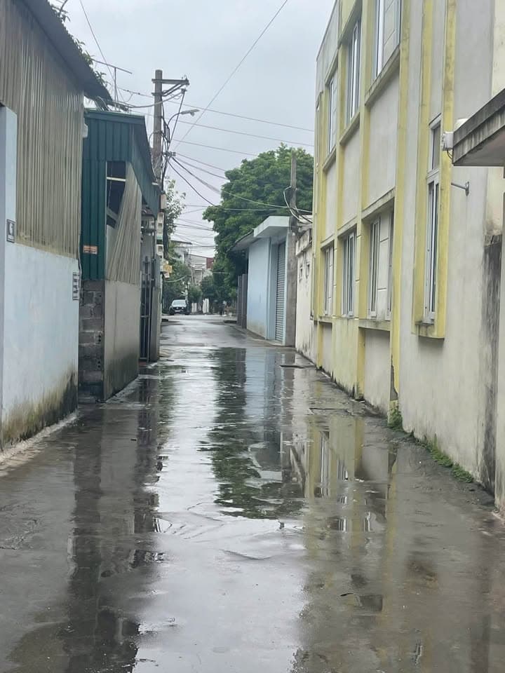 Bán đất Đ. Hàn Thượng, P. Cẩm Thượng, Tp. Hải Dương, T. Hải Dương - Ảnh 3