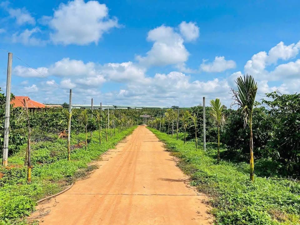 Bán đất Tp. Pleiku, T. Gia Lai