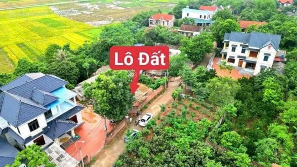 Bán đất H. Sơn Dương, T. Tuyên Quang