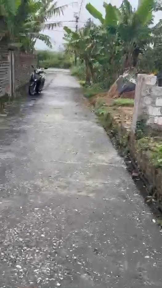 Bán đất X. Dương Hồng Thủy, H. Thái Thụy, T. Thái Bình