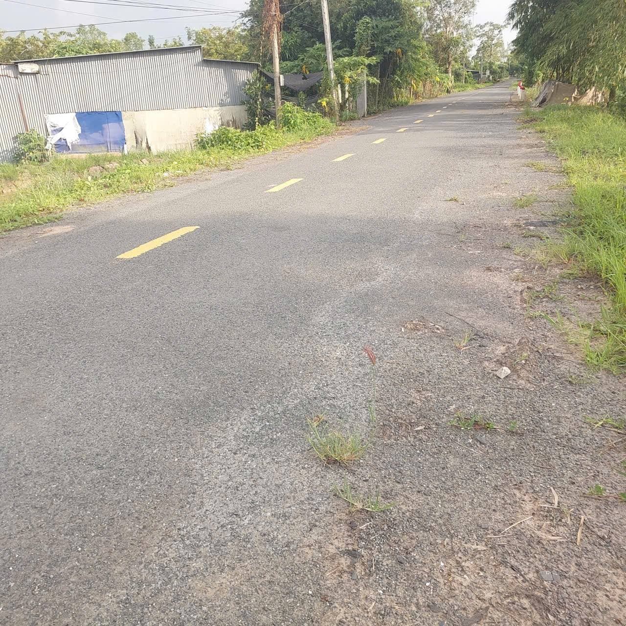 Bán đất X. Mỹ An Hưng A, H. Lấp Vò, T. Đồng Tháp