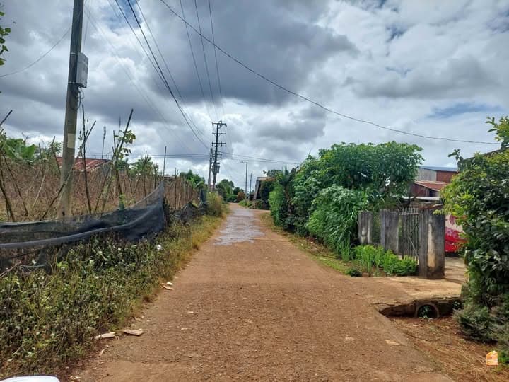 Bán đất Đ. Nguyễn Bá Lai, X. An Phú, Tp. Pleiku, T. Gia Lai