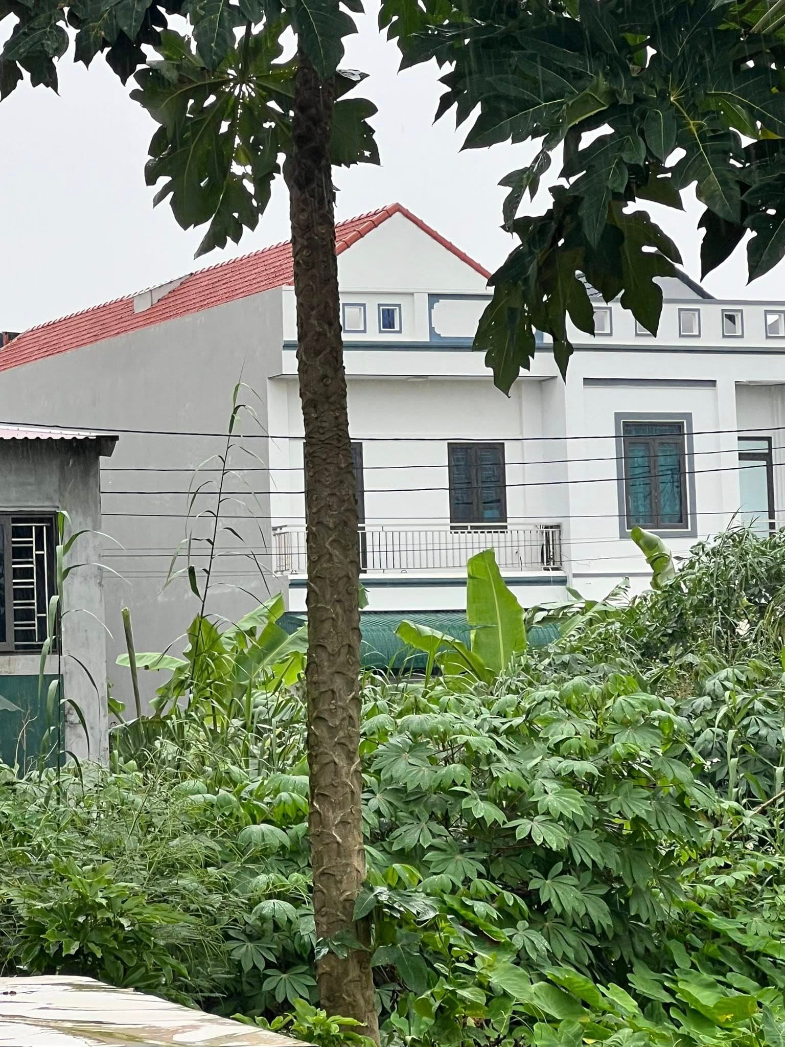 Bán đất nền dự án X. Đức Chính, H. Cẩm Giàng, T. Hải Dương - Ảnh 3