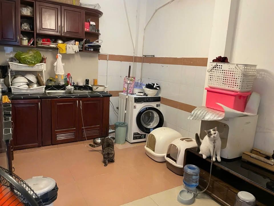 Bán nhà riêng P. Nguyễn Thiện Thuật, P. 1, Q. 3, Tp. Hồ Chí Minh