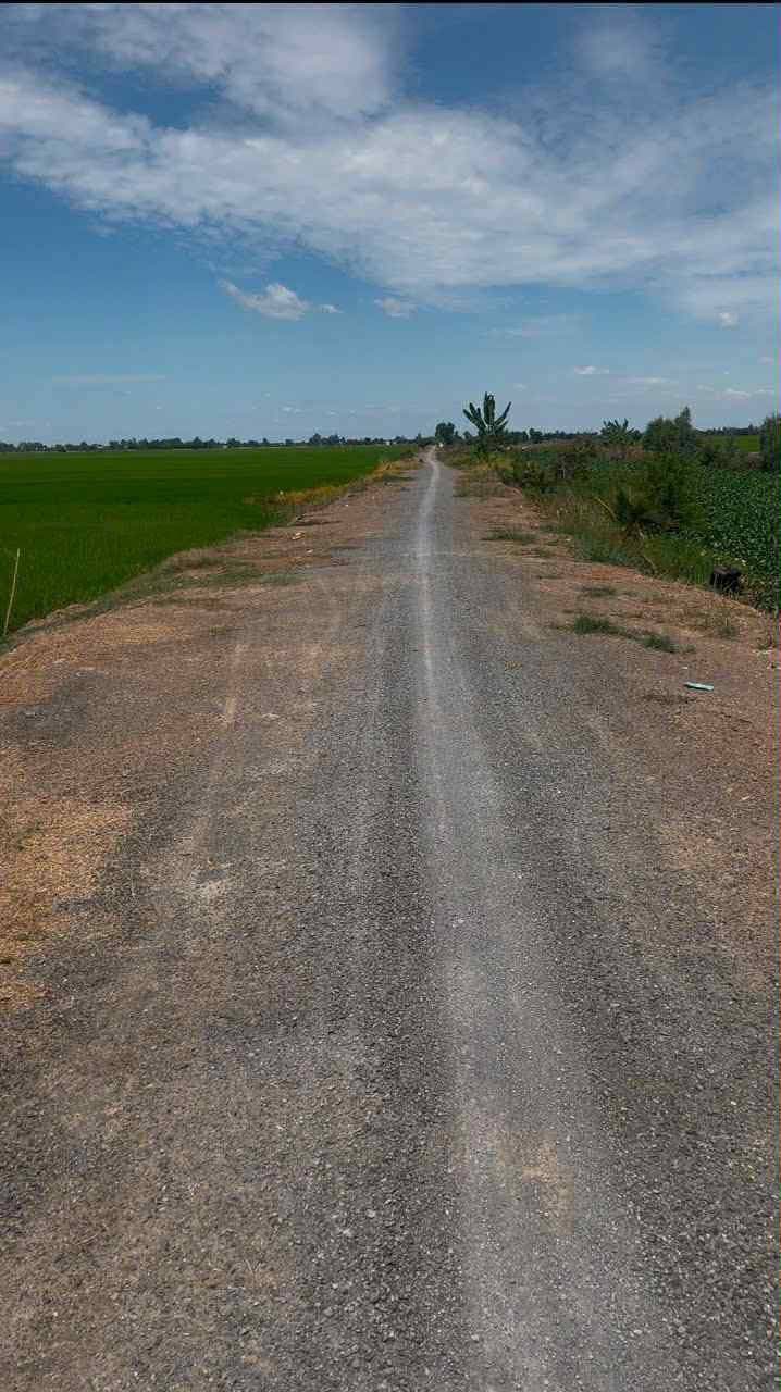 Bán đất X. Bắc Hòa, H. Tân Thạnh, T. Long An - Ảnh 3