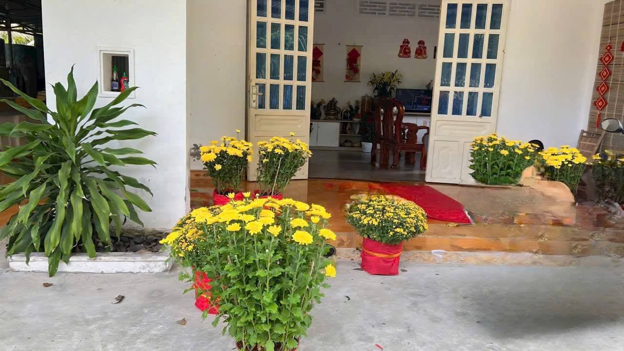 Bán đất Tp. Bến Tre, T. Bến Tre - Ảnh 2