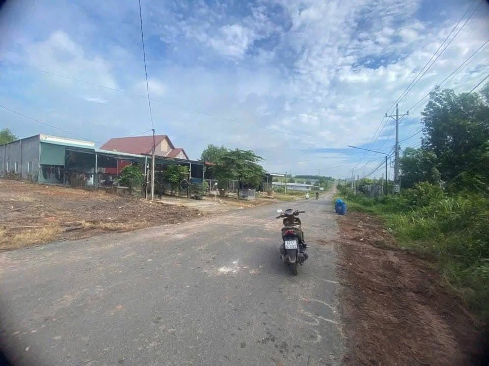 Bán đất Tx. Tân Uyên, T. Bình Dương - Ảnh 2