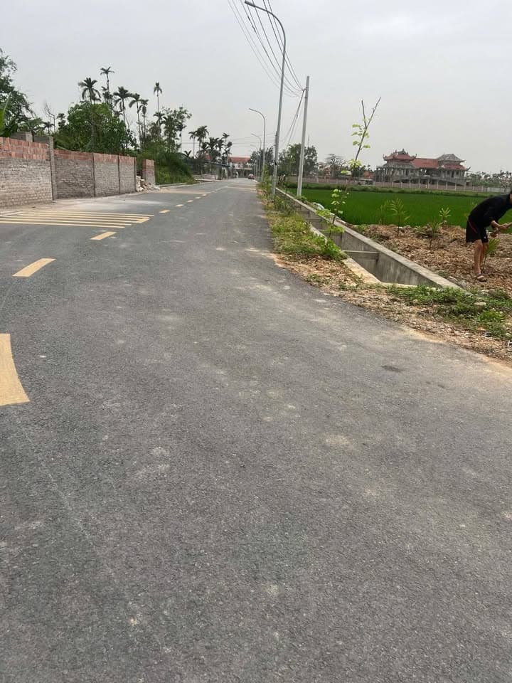 Bán đất X. Kiền Bái, H. Thủy Nguyên, Tp. Hải Phòng - Ảnh 3