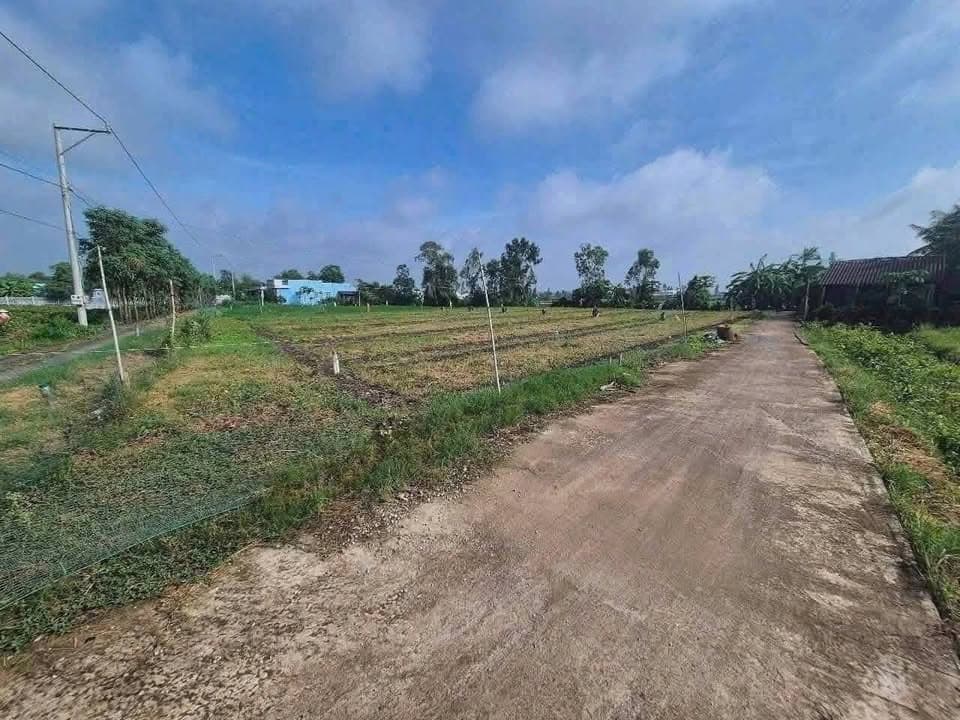 Bán đất H. Gò Công Tây, T. Tiền Giang - Ảnh 2