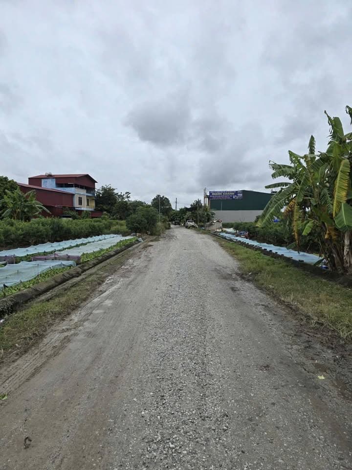 Bán đất Đ. Xuân Ổ B, P. Võ Cường, Tp. Bắc Ninh, T. Bắc Ninh