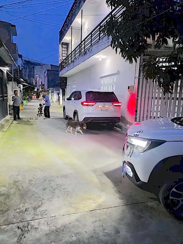 Bán nhà riêng Đ. Quang Trung, P. 10, Q. Gò Vấp, Tp. Hồ Chí Minh