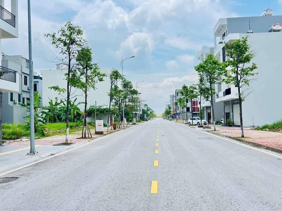 Bán đất X. Chí Minh, H. Tứ Kỳ, T. Hải Dương - Ảnh 3