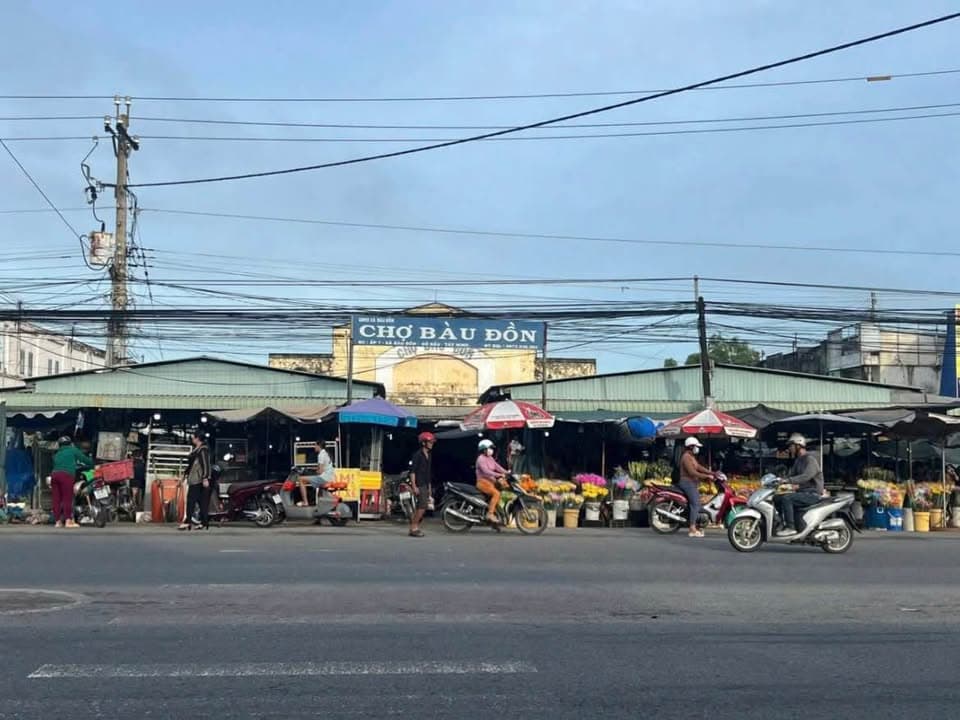 Bán đất X. Bàu Đồn, H. Gò Dầu, T. Tây Ninh - Ảnh 2