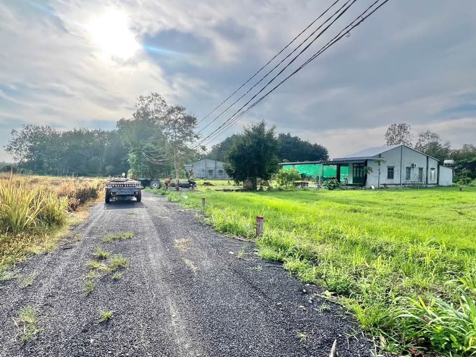 Bán đất X. Bàu Đồn, H. Gò Dầu, T. Tây Ninh - Ảnh 3