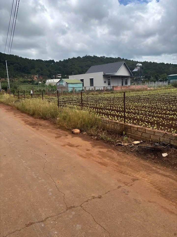 Bán đất X. Hiệp Thạnh, H. Đức Trọng, T. Lâm Đồng - Ảnh 2