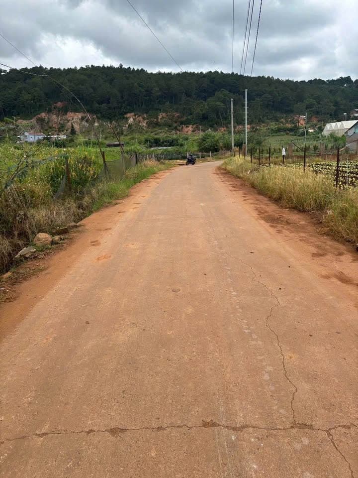 Bán đất X. Hiệp Thạnh, H. Đức Trọng, T. Lâm Đồng - Ảnh 3