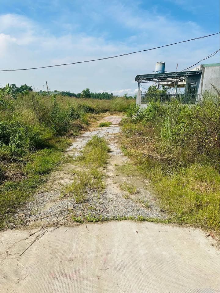 Bán đất Tx. Long Mỹ, T. Hậu Giang