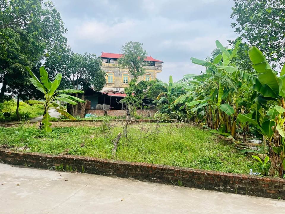 Bán đất H. Sóc Sơn, Tp. Hà Nội - Ảnh 2