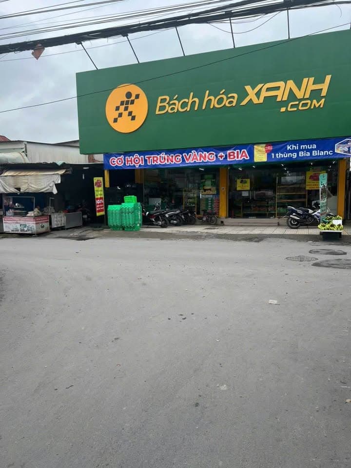 Bán đất Tp. Thủ Đức, Tp. Hồ Chí Minh - Ảnh 2