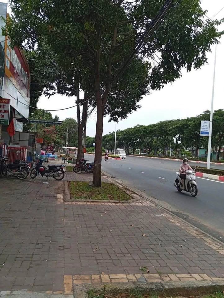 Bán đất Đ. 2/9, P. Thắng Nhất, Tp. Vũng Tàu, T. Bà Rịa - Vũng Tàu