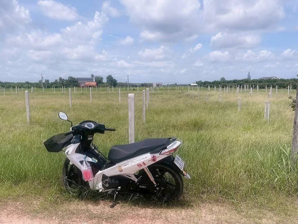 Bán đất X. Thạnh Tân, Tp. Tây Ninh, T. Tây Ninh - Ảnh 2