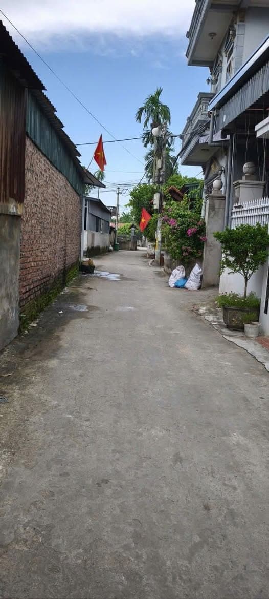 Bán đất X. Hiền Giang, H. Thường Tín, Tp. Hà Nội - Ảnh 2