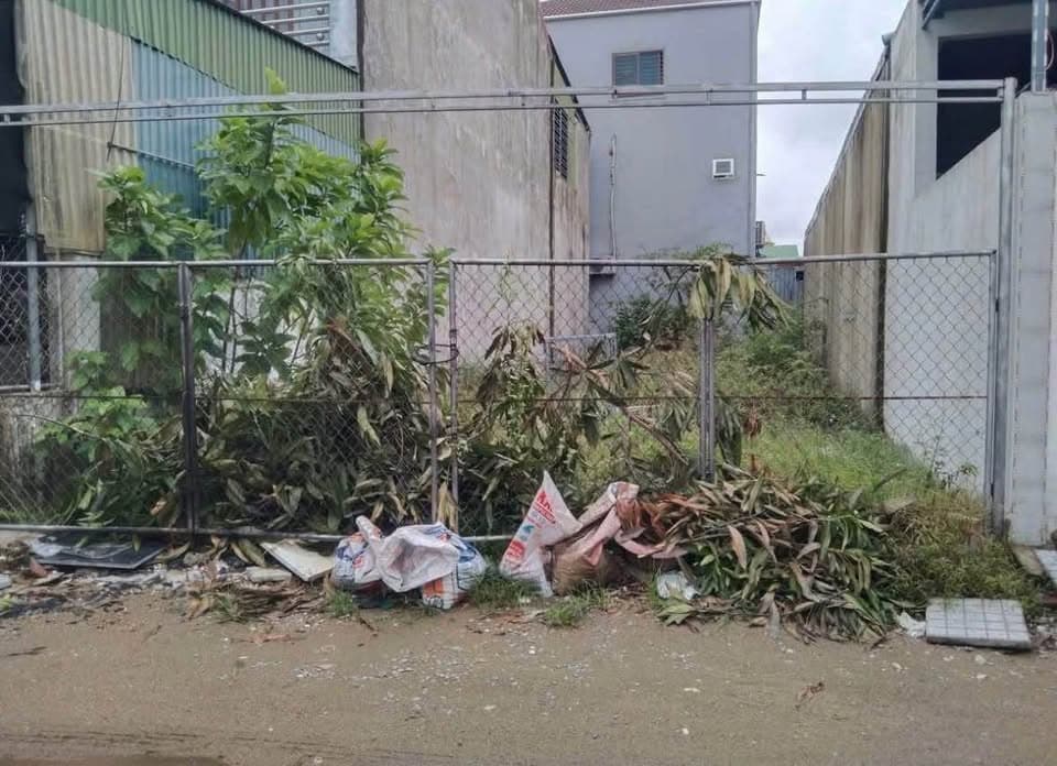 Bán đất P. Hà Huy Tập, Tp. Hà Tĩnh, T. Hà Tĩnh - Ảnh 3