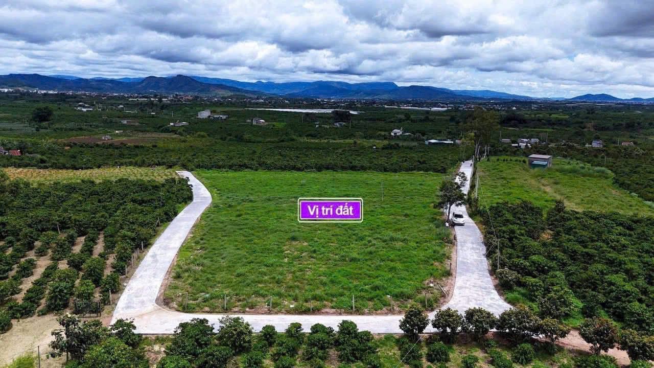 Bán đất H. Lâm Hà, T. Lâm Đồng - Ảnh 2