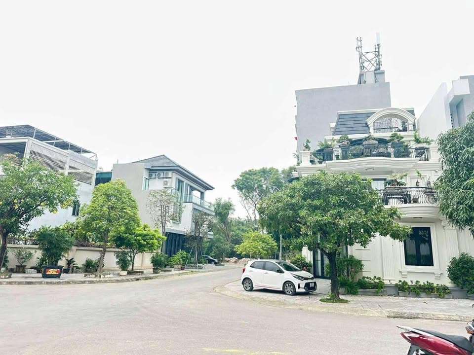 Bán đất Đ. Nguyễn Công Trứ, X. Đông Vinh, Tp. Thanh Hóa, T. Thanh Hóa - Ảnh 2