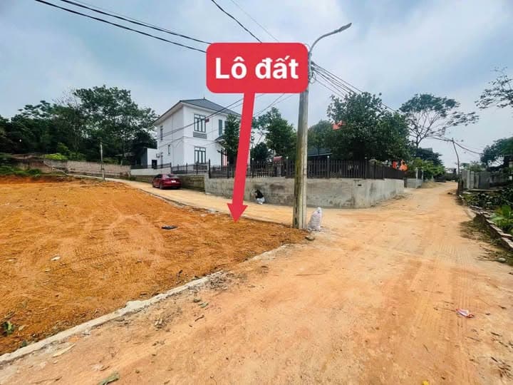 Bán đất H. Tam Dương, T. Vĩnh Phúc - Ảnh 3