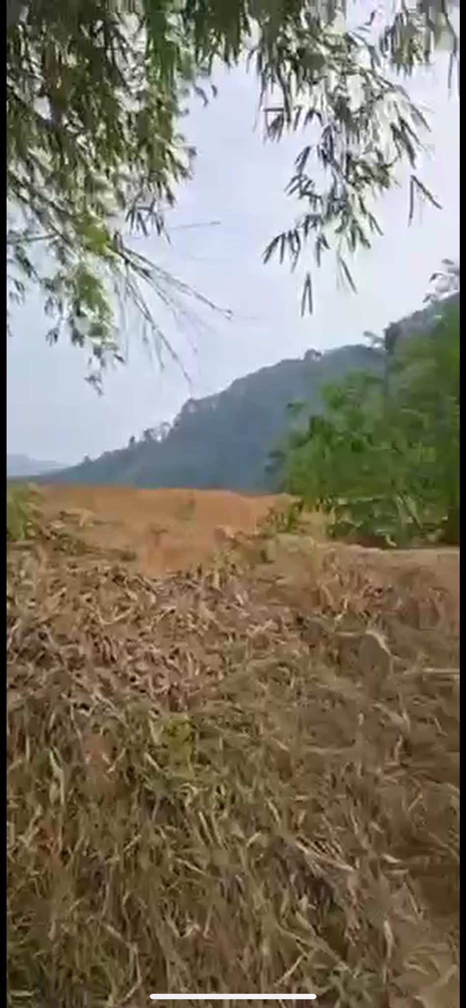 Bán đất H. Bạch Thông, T. Bắc Kạn - Ảnh 2