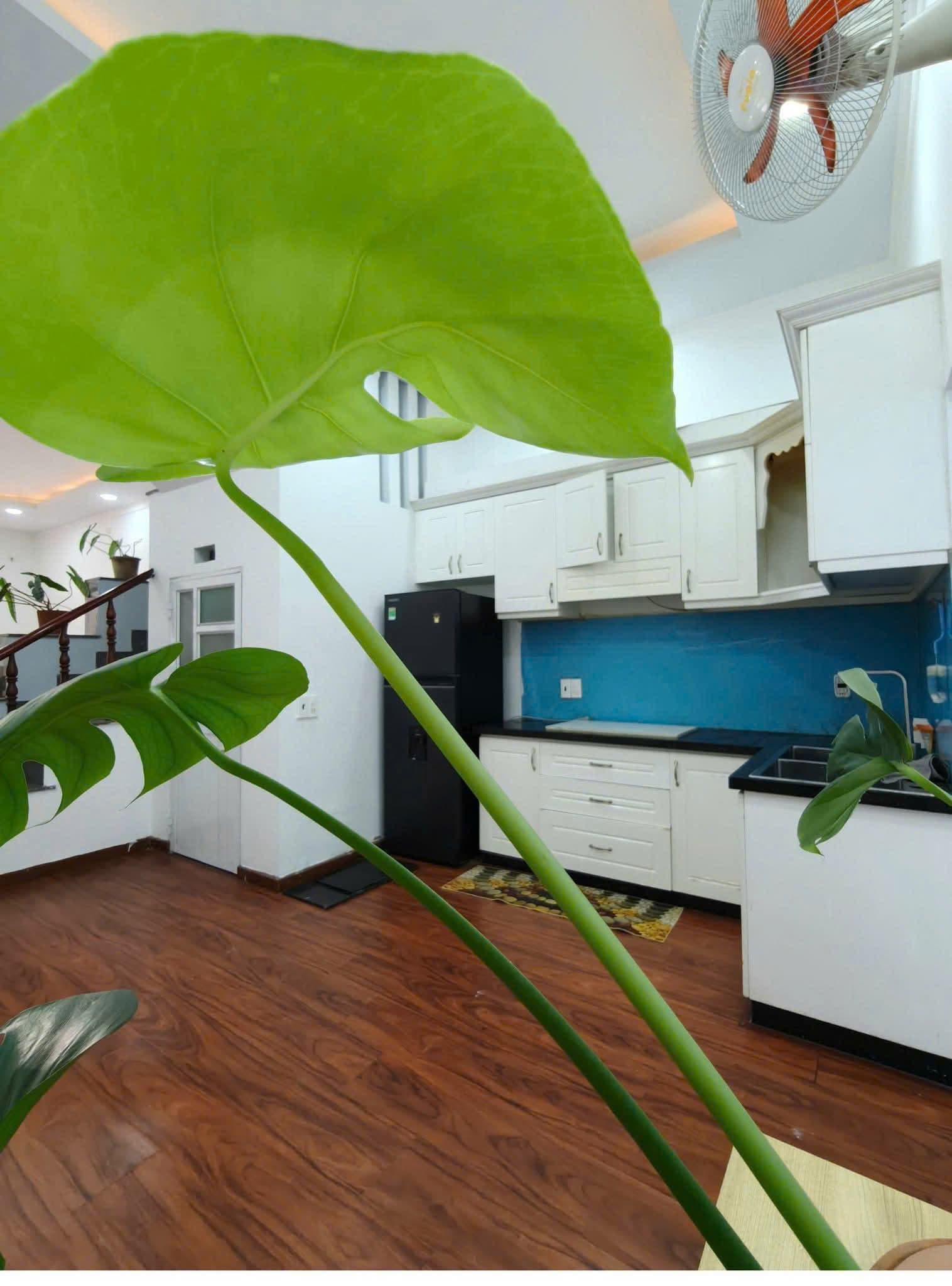 Bán nhà riêng Đ. Đông Tác, P. Dĩ An, Tp. Dĩ An, T. Bình Dương - Ảnh 2