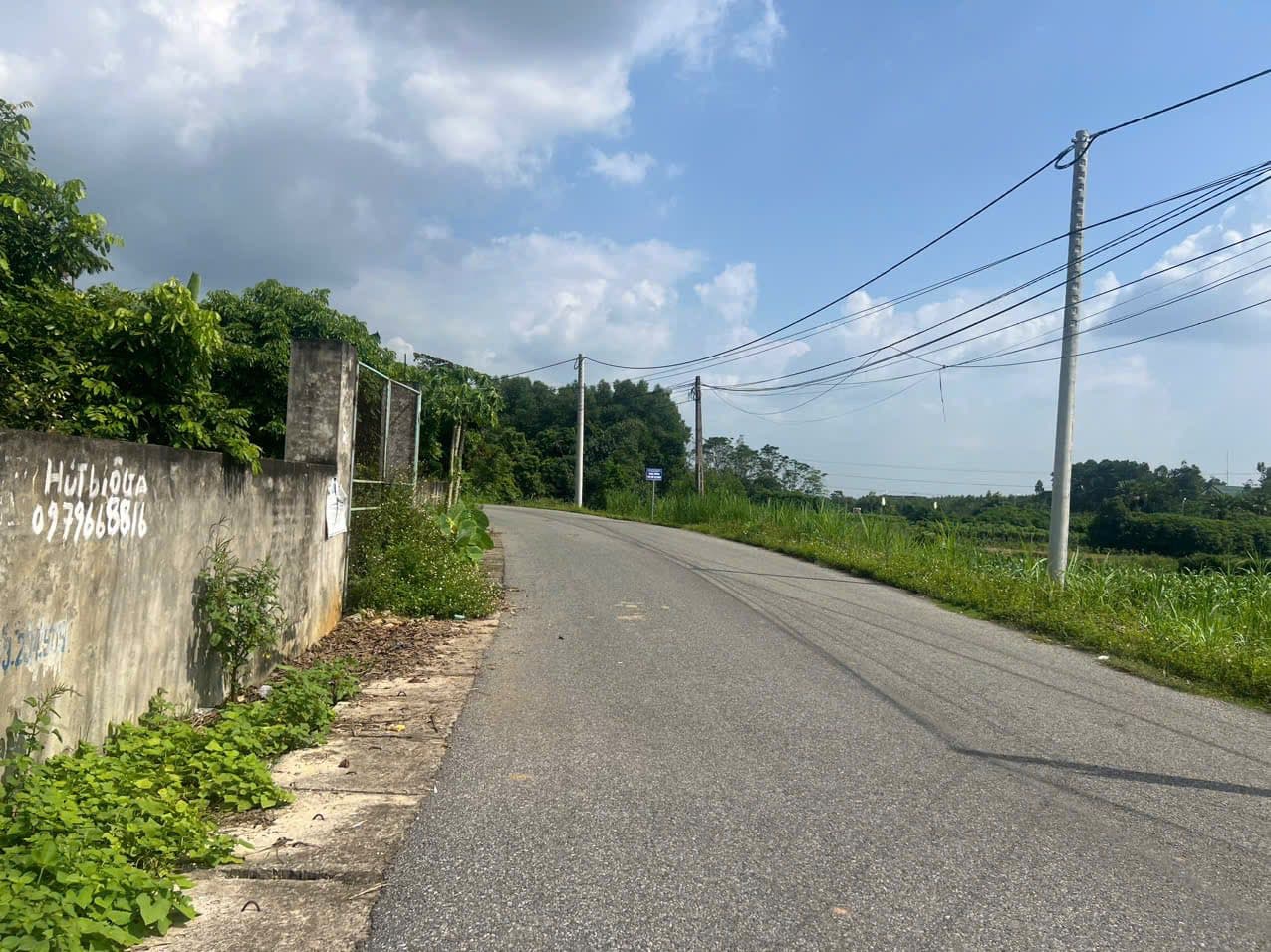 Bán đất P. Vân Phú, Tp. Việt Trì, T. Phú Thọ